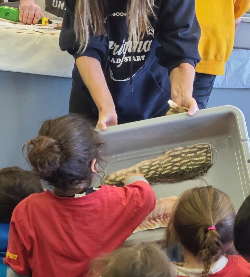Children gathered around a tray to look closely at a fish being prepared.