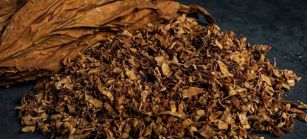Dried tobacco leaves beside a pile of cut tobacco